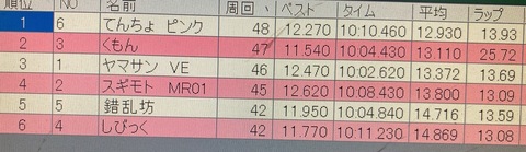 IMG_8686.jpeg
