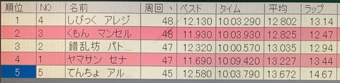 IMG_8924.jpeg